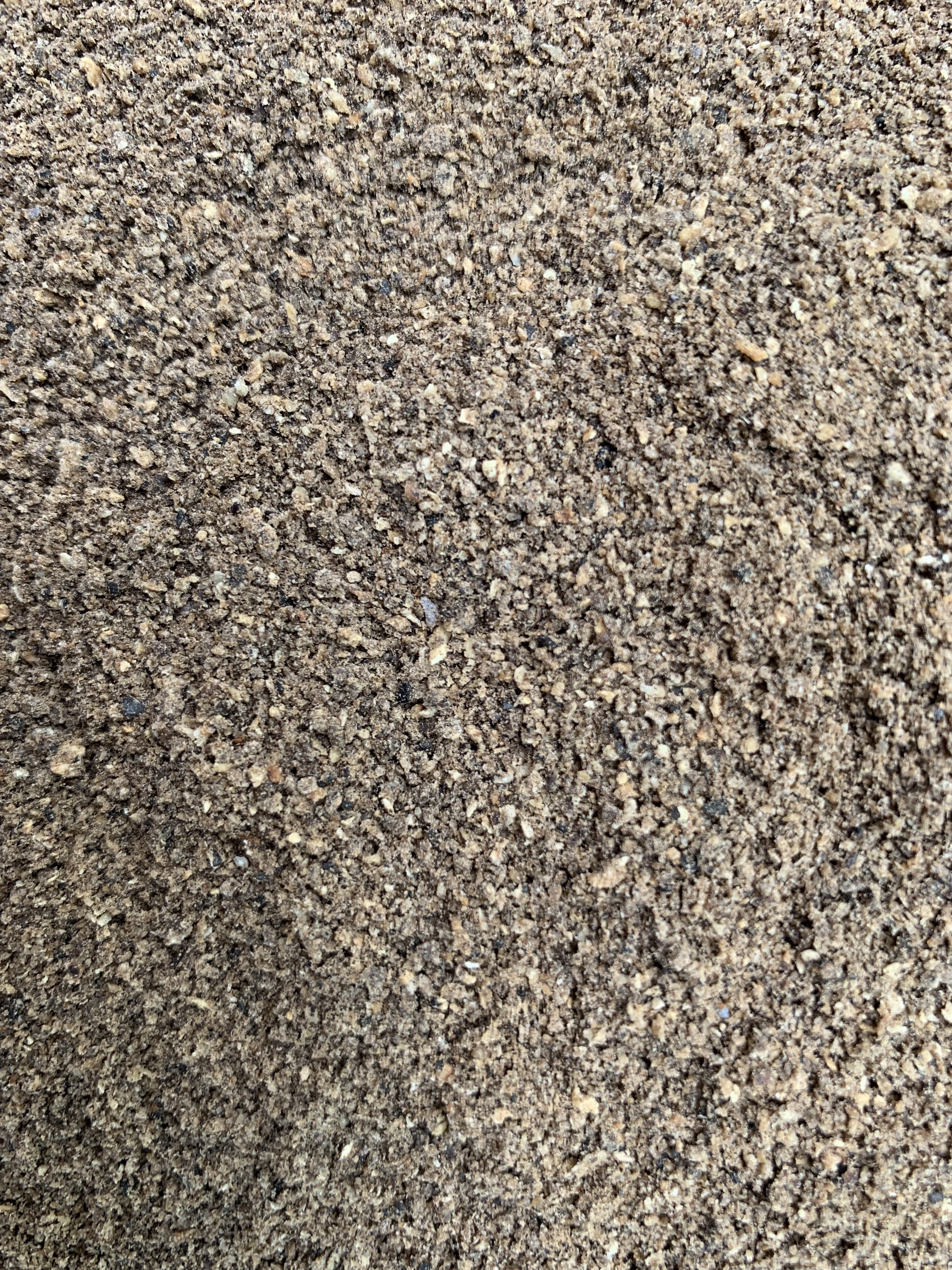 กากเมล็ดในปาล์ม (Palm kernel Cake)